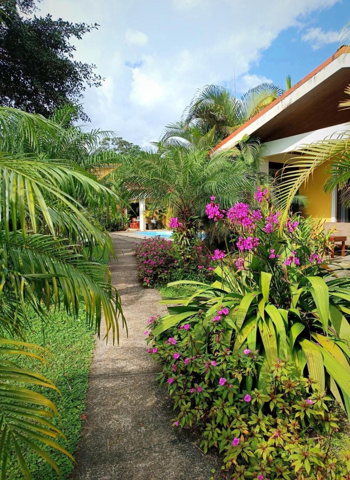 Arenal Villas Tranquilas, Free-Standing Equipped Houses Nuevo Arenal Εξωτερικό φωτογραφία